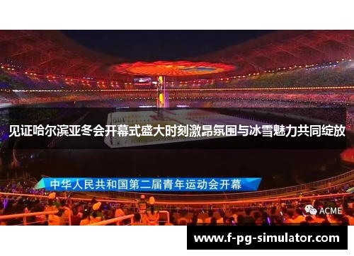 见证哈尔滨亚冬会开幕式盛大时刻激昂氛围与冰雪魅力共同绽放