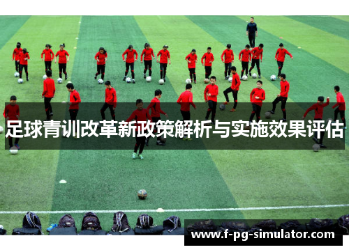 足球青训改革新政策解析与实施效果评估